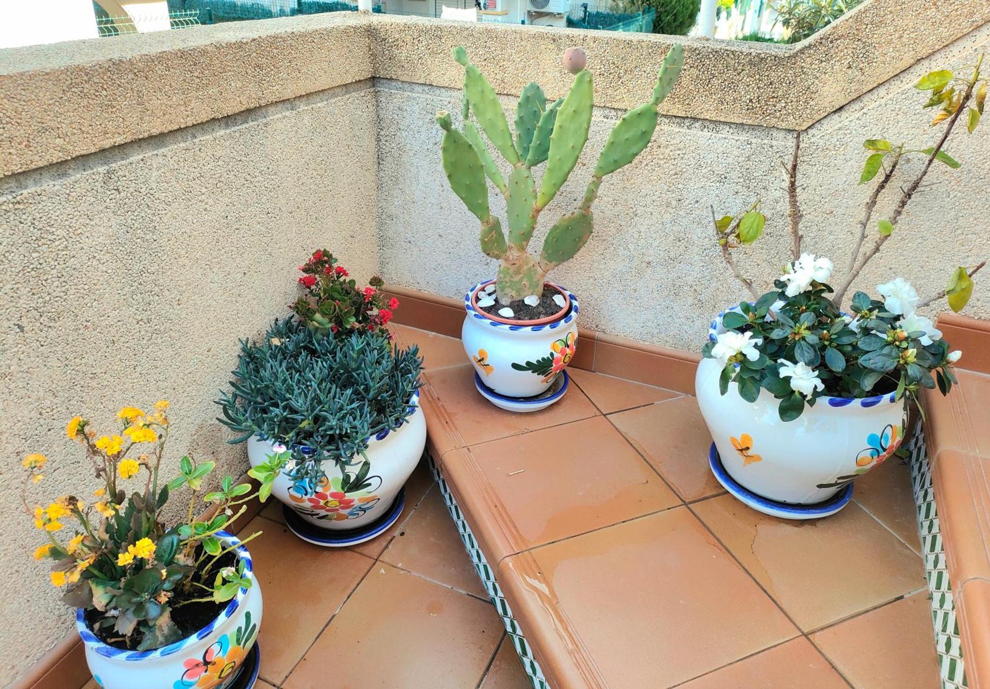شقة Casa De Buenos Dias تورّيفيِخا المظهر الخارجي الصورة